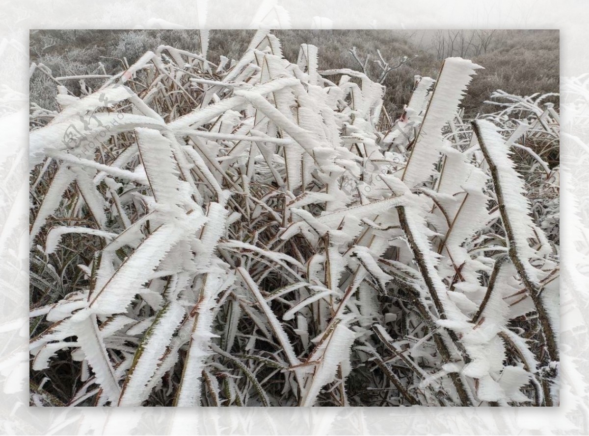 雪景