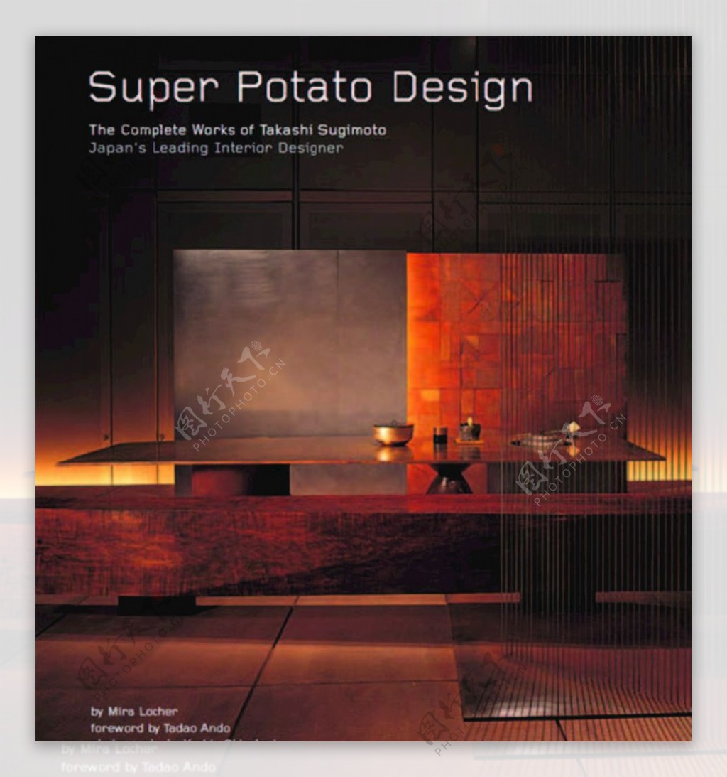 日版超级土豆PDF书
