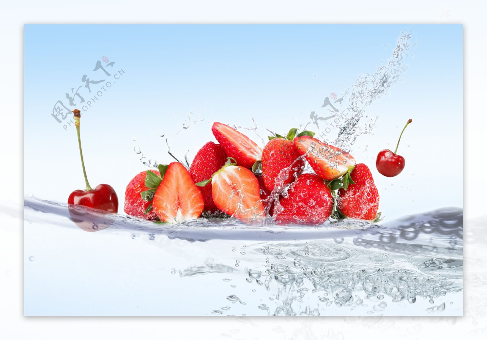水中草莓樱桃