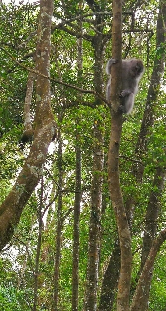 山水风光