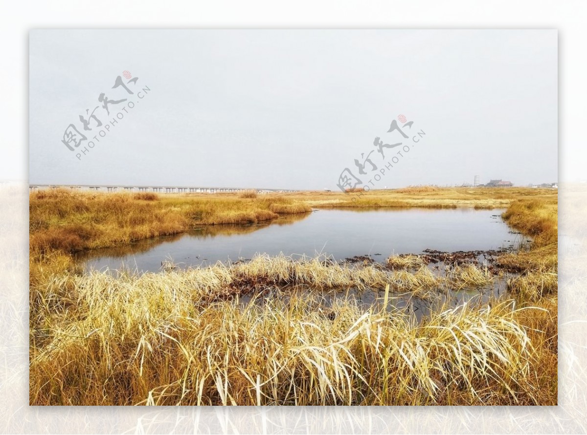 府河湿地风景