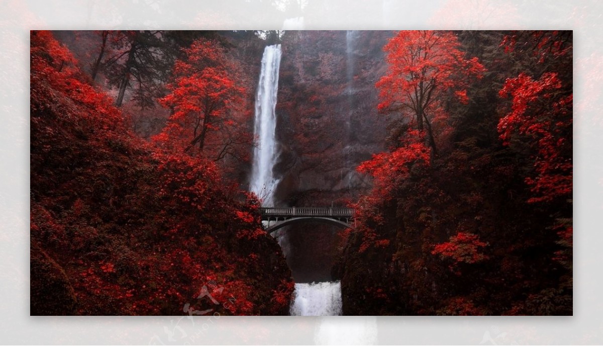 森林瀑布木桥风景红叶