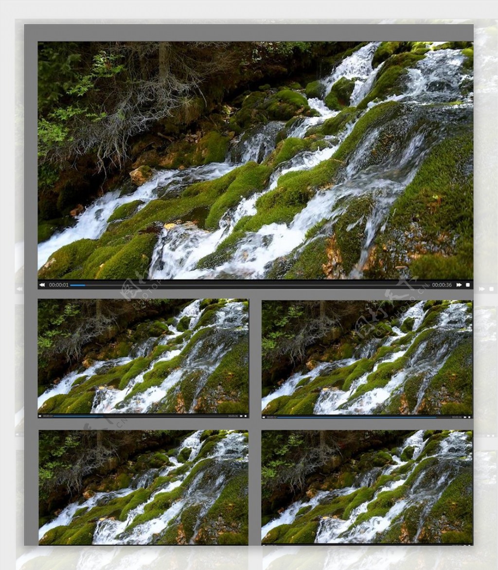 森林小溪流水视频素材