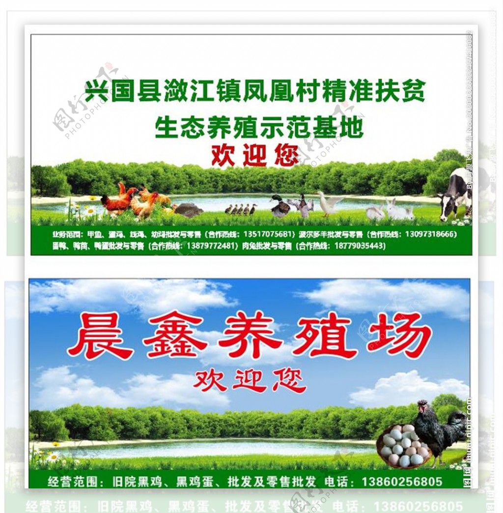 生态牧场养殖场养殖广告