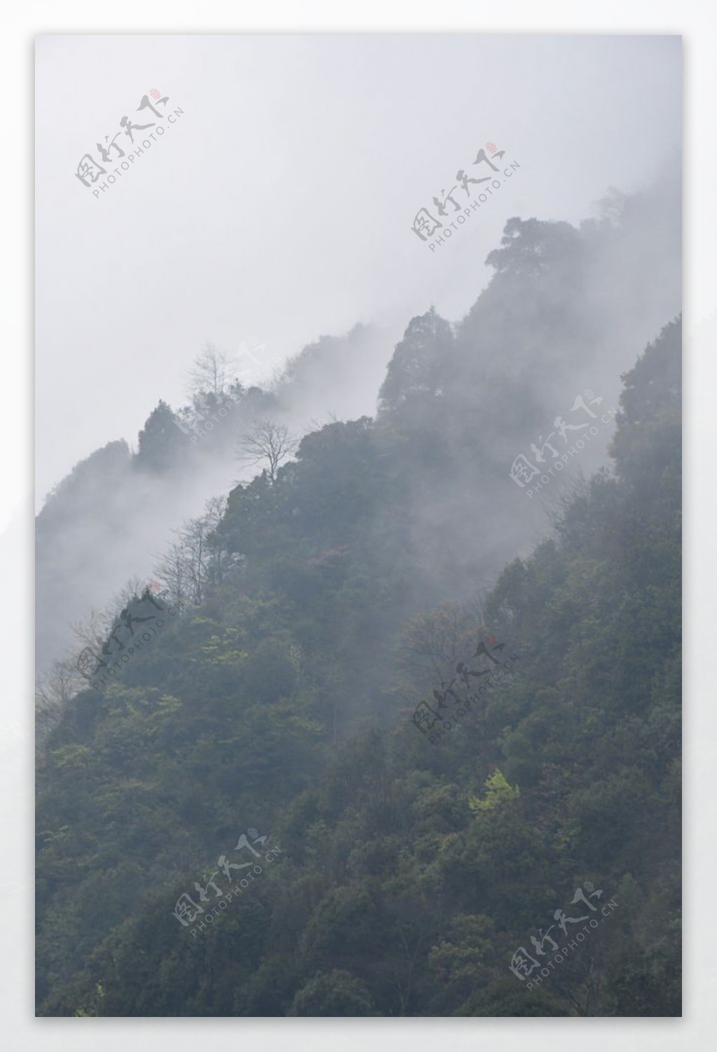 雾缭绕山脉间自然风光