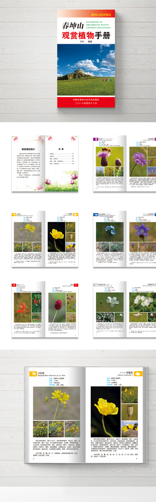 观赏植物手册画册