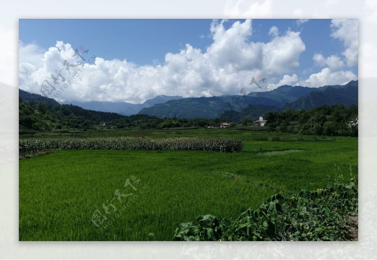 田园风景