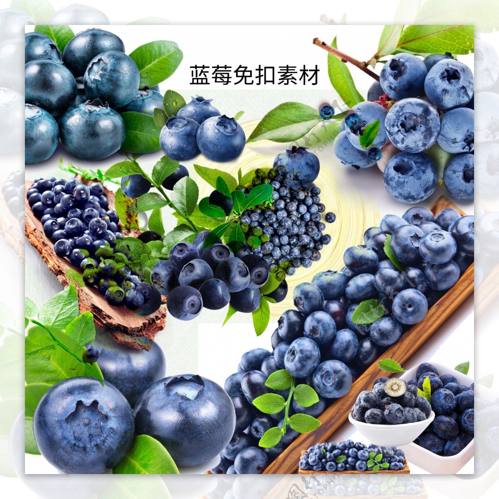 蓝莓共享免扣图