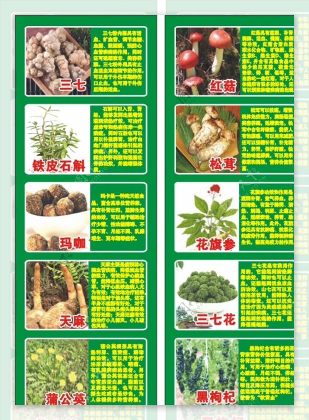 云南生态园广告