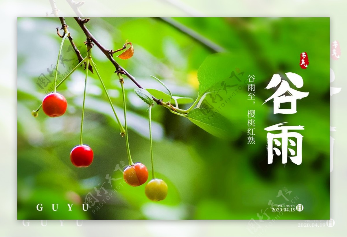 谷雨海报传统节气红樱桃