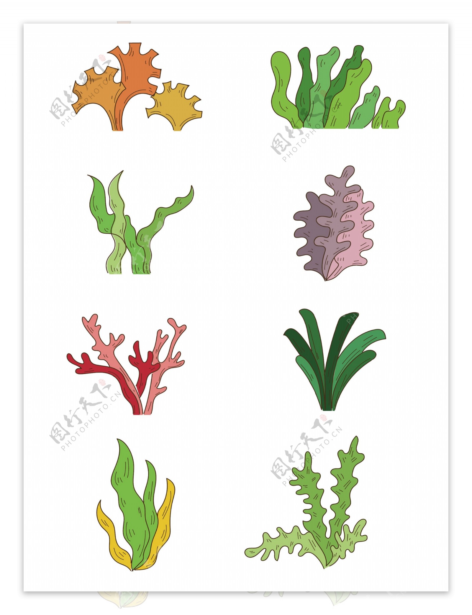 矢量可编辑海草植物海洋植物图标