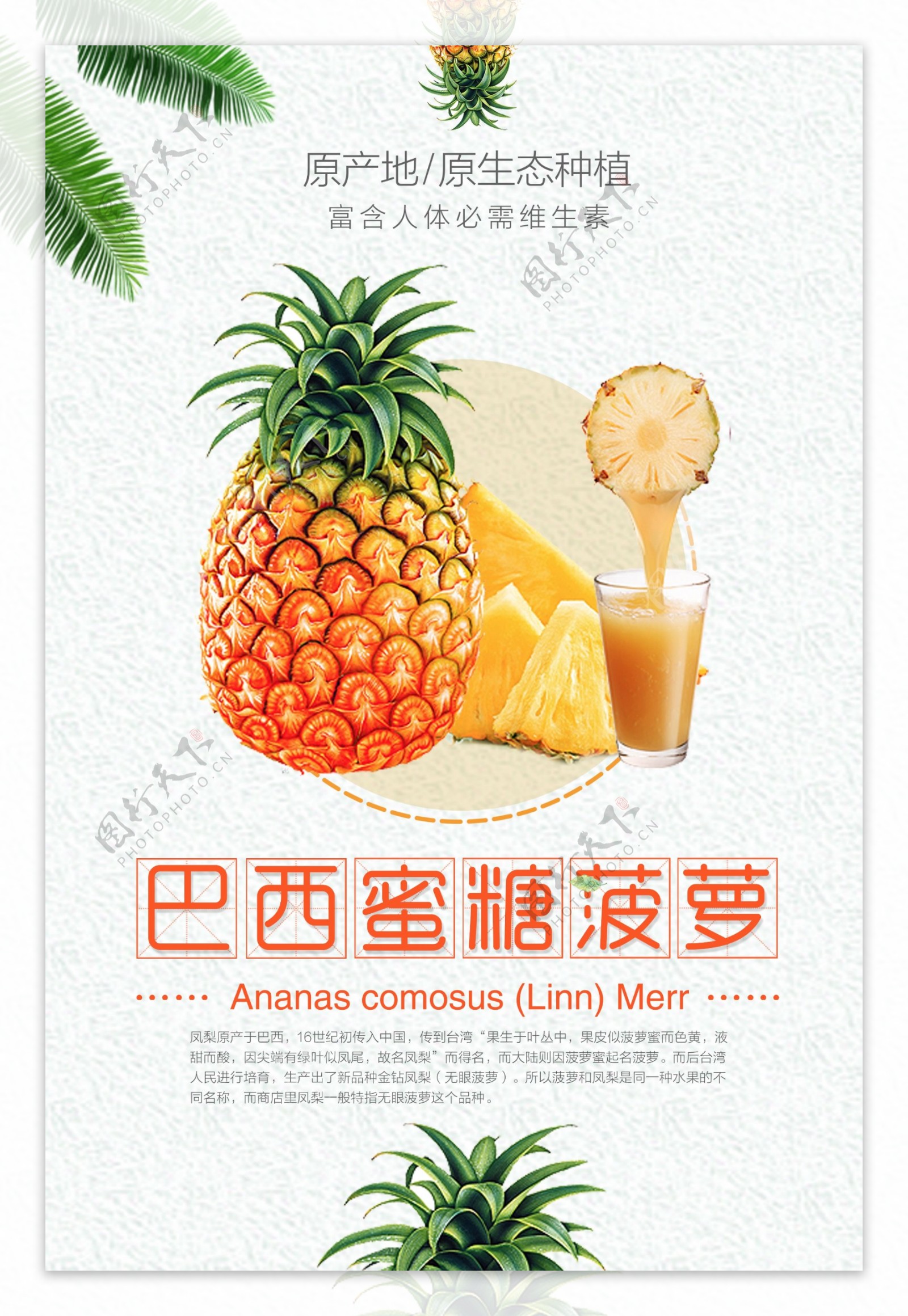 巴西蜜糖菠萝宣传海报