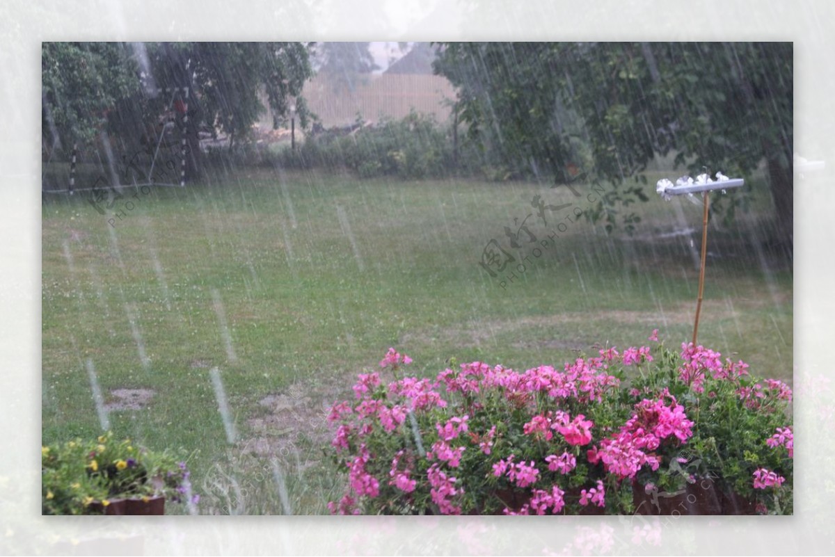 夏日的雨