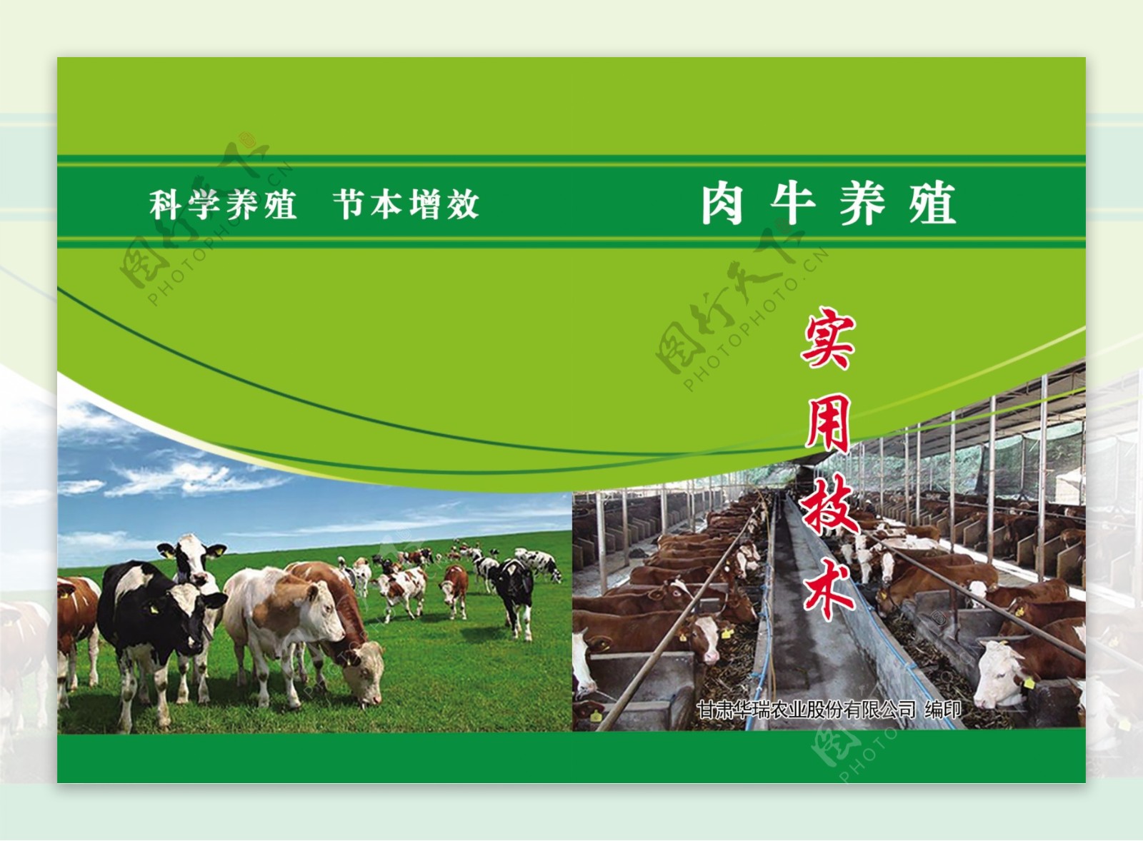 肉牛养殖技术封面