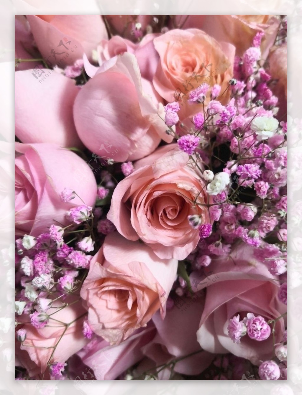 花卉粉玫瑰满天星