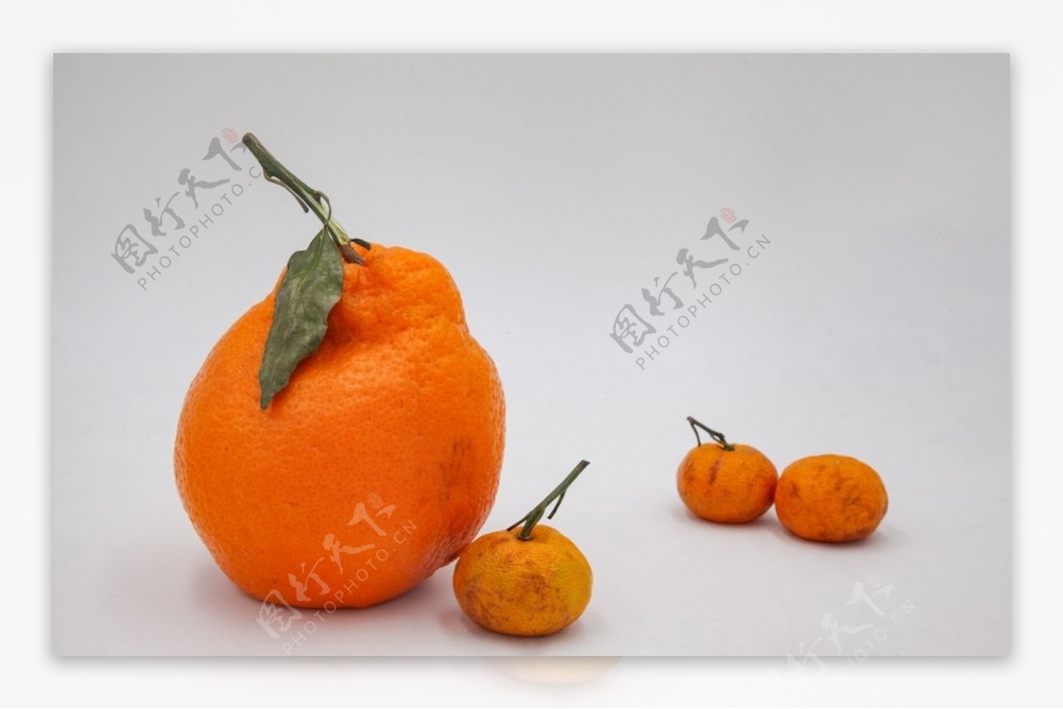 粑粑柑橘子