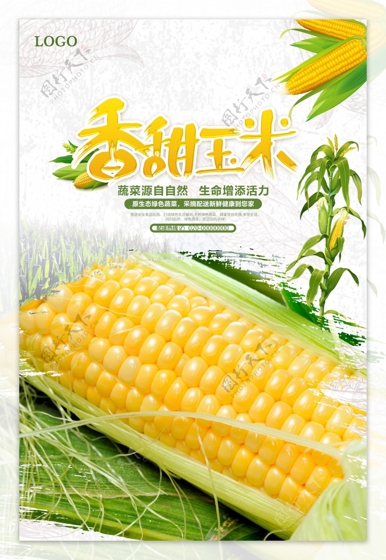 清新玉米海报