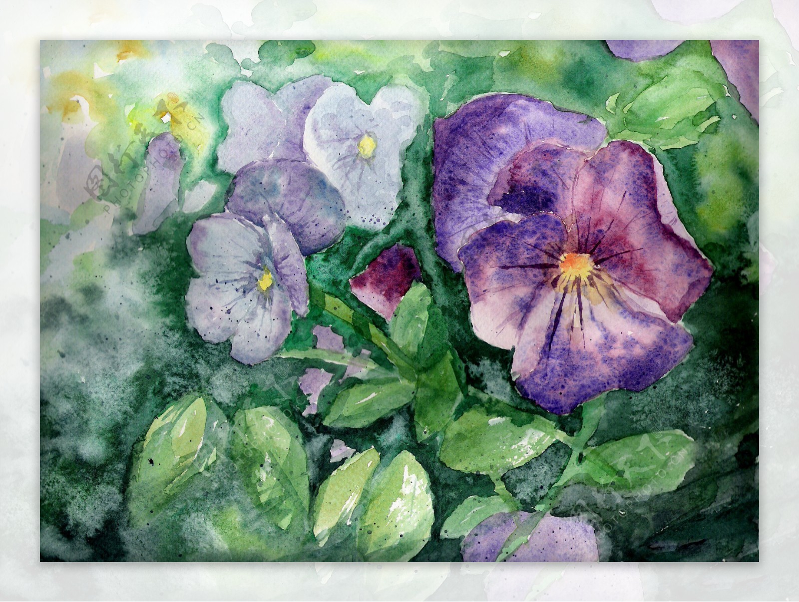 油画绘画植物花朵
