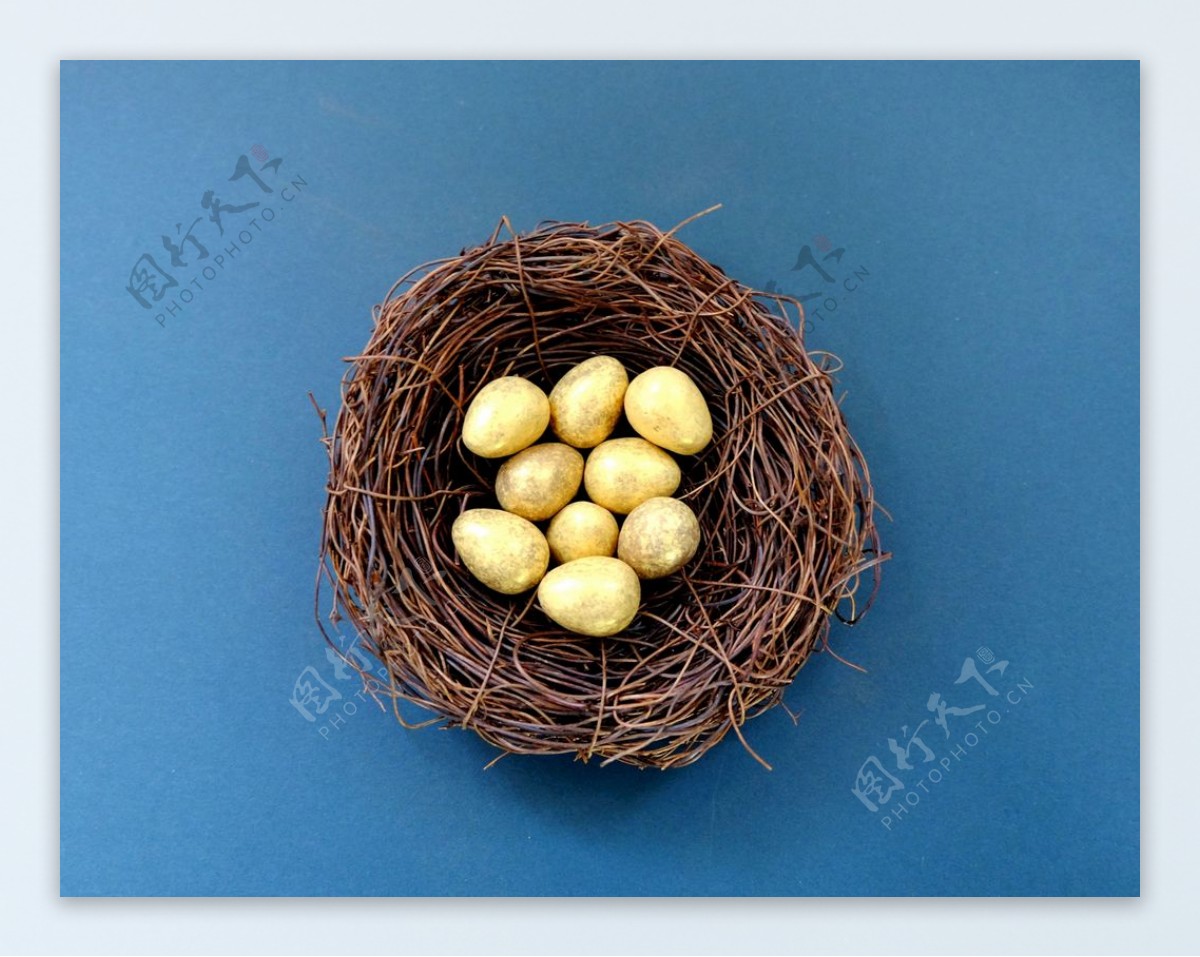 鸟巢中的金色鸟蛋