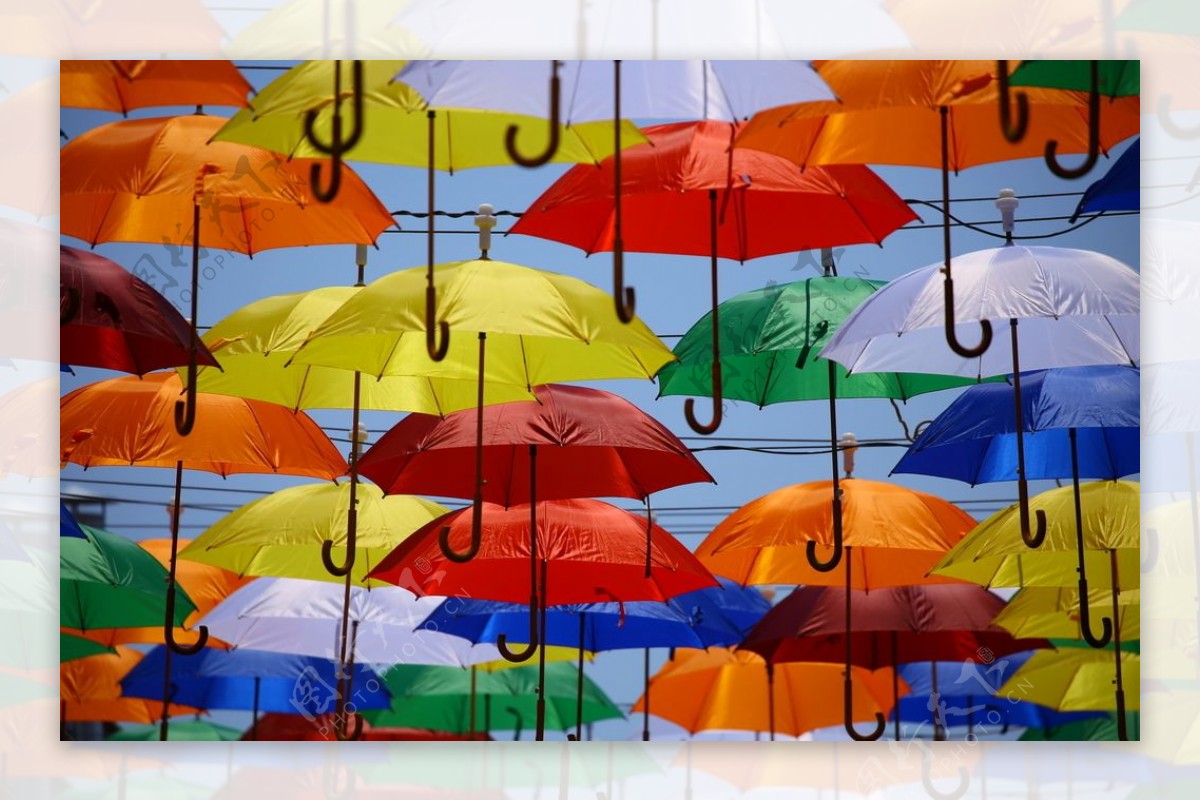 雨伞花伞遮阳伞太阳伞