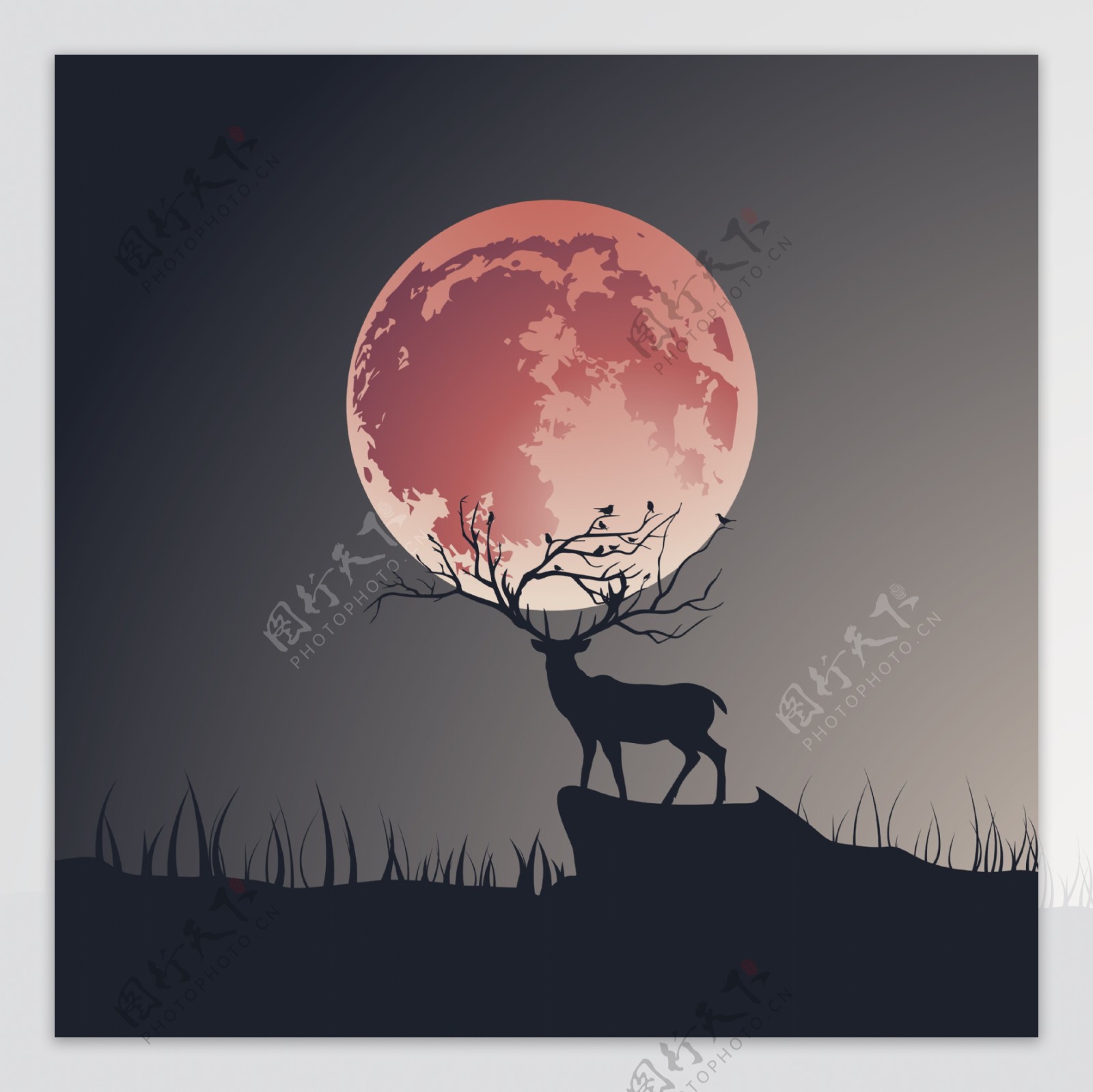 月亮鹿