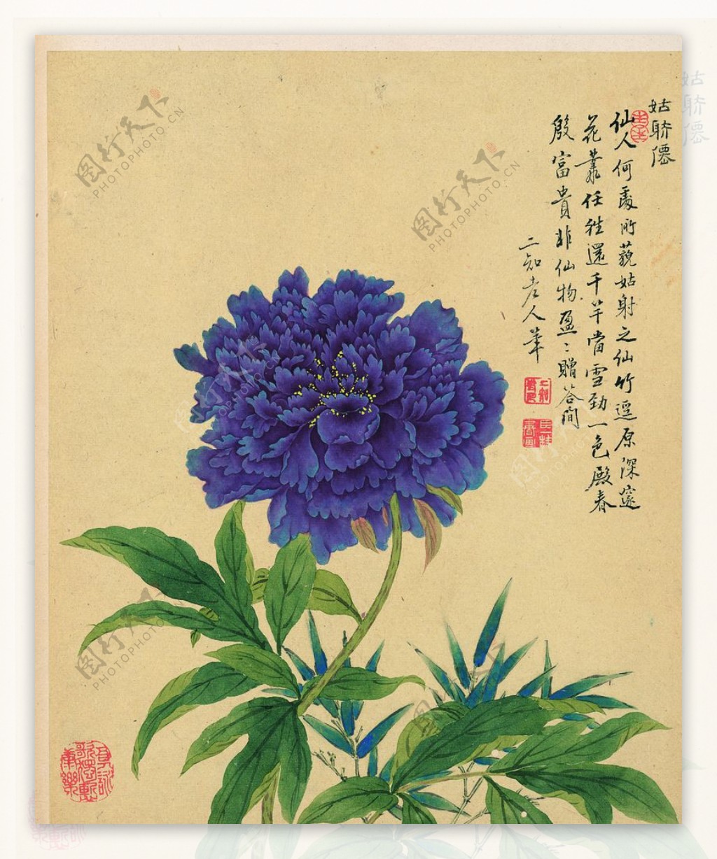 中国风花鸟工笔画