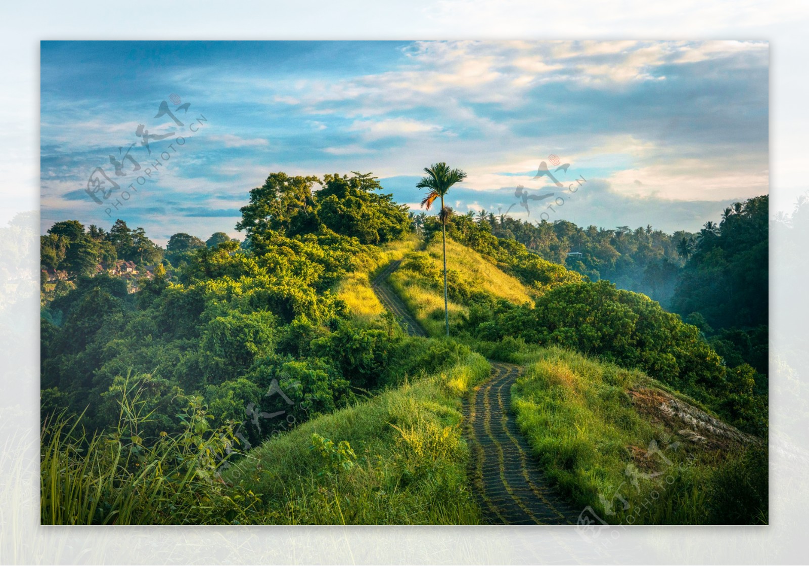 山顶的风景