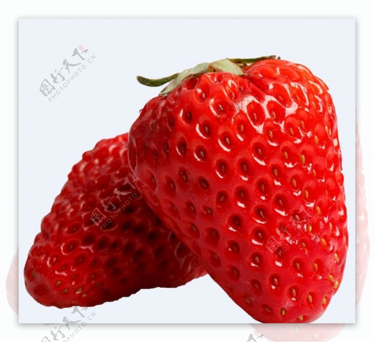 水果草莓