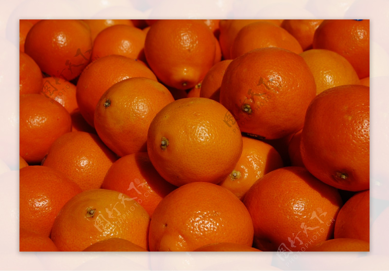 橘子橙色水果柑橘