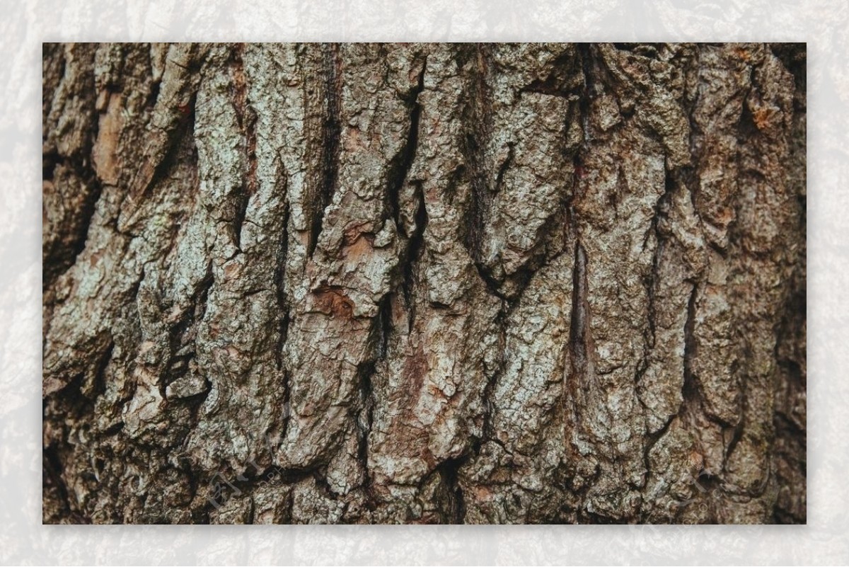 树皮纹理19设计元素素材免费下载(图片编号:4110891)-六图网
