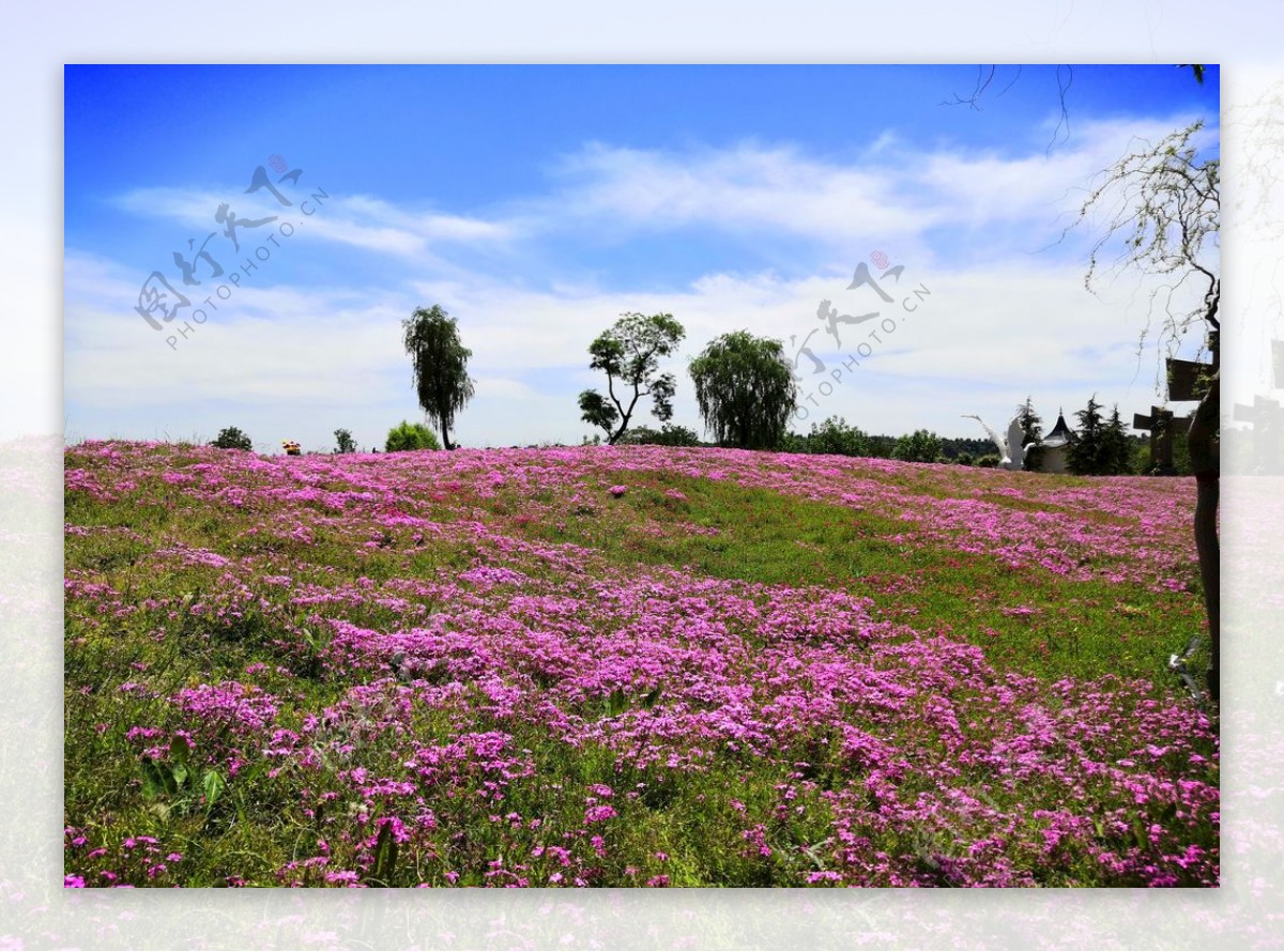 庆阳义渠百花园