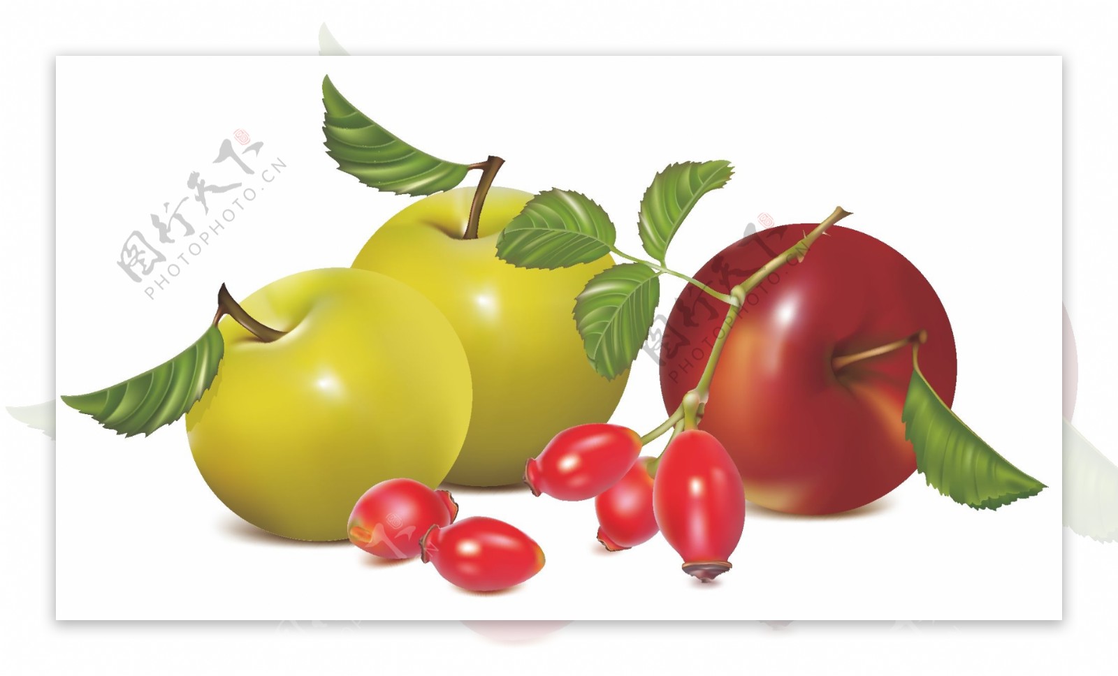苹果西红柿手绘水果矢量素材
