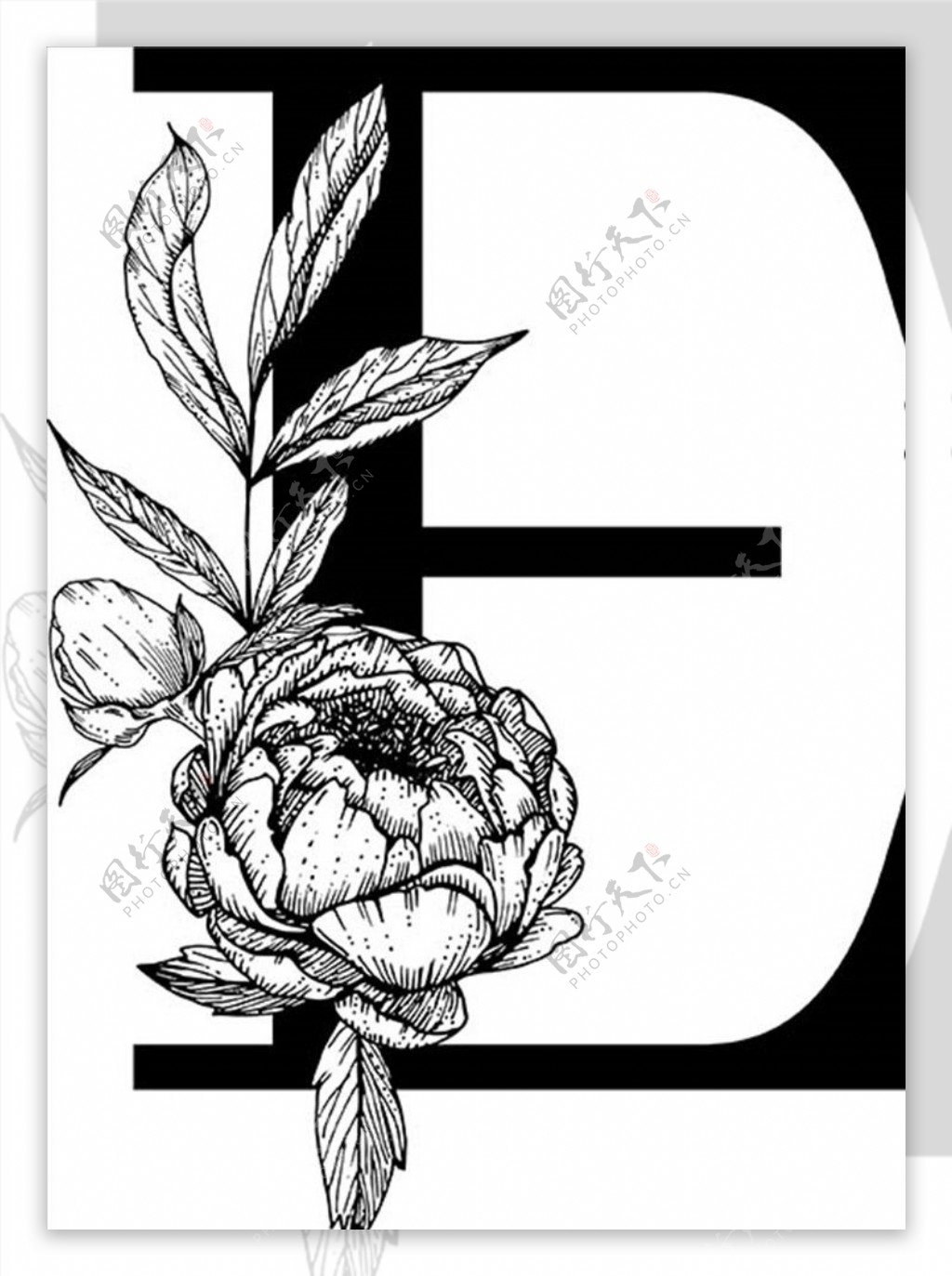 花卉装饰字母字母E