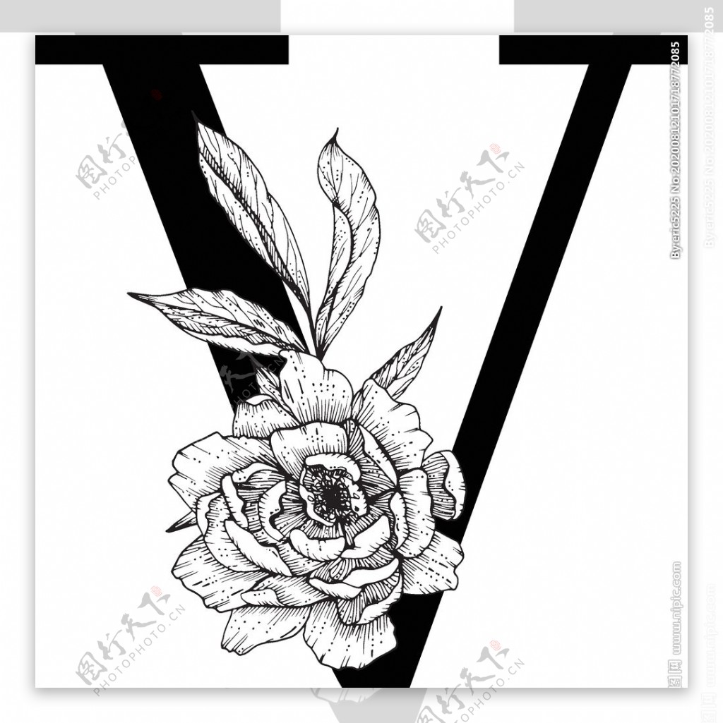 花卉装饰字母V