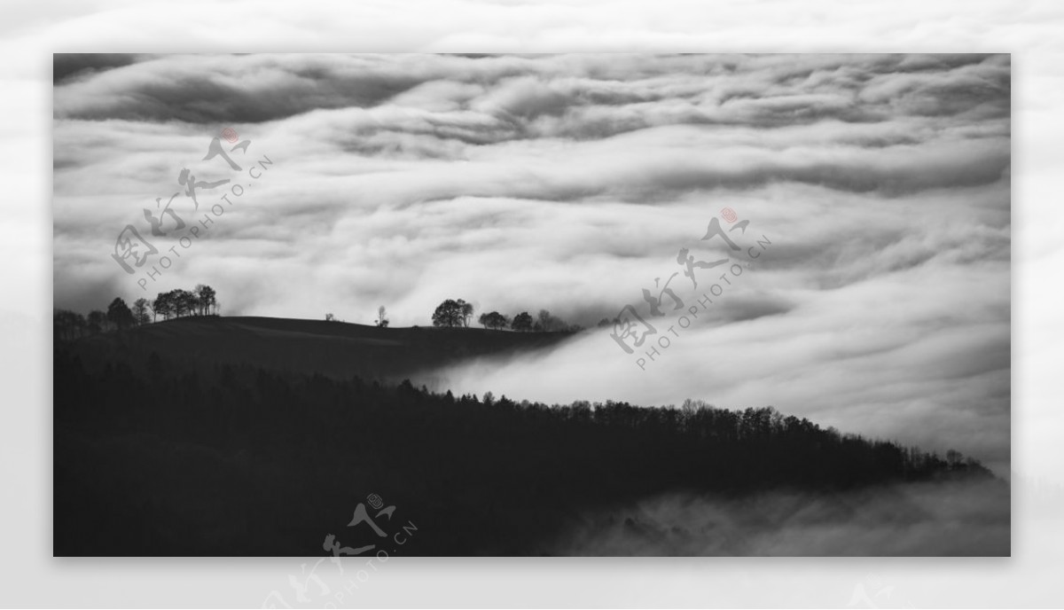 山坡云海云雾树木风景图片