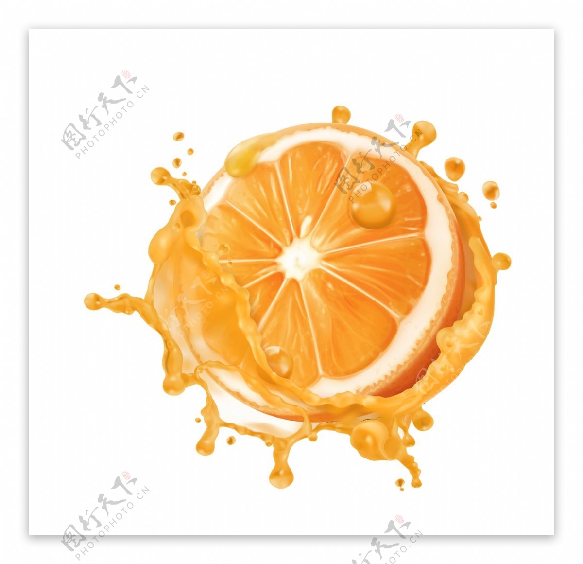 橘子设计图