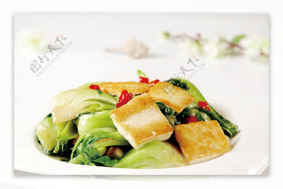 小油菜炕豆腐