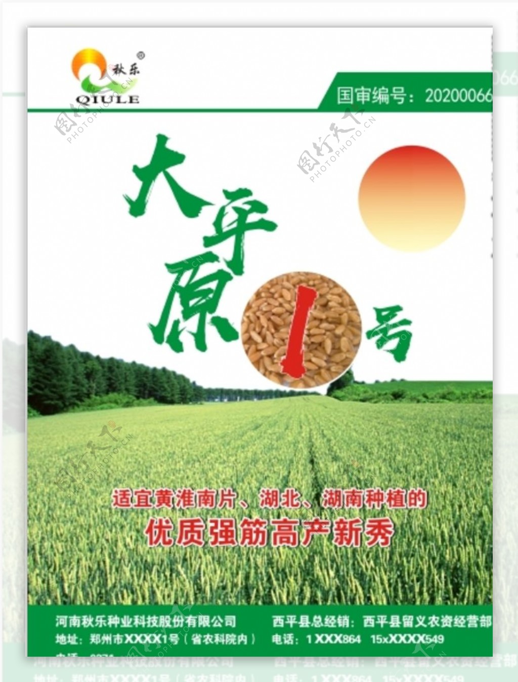 秋乐玉米种子农业化肥宣传单海报
