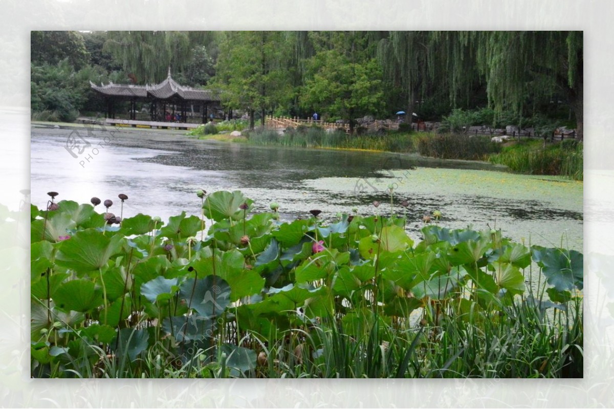 园林风景