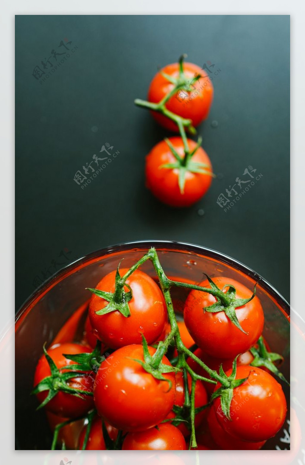 西红柿番茄水果圣女果背景素材