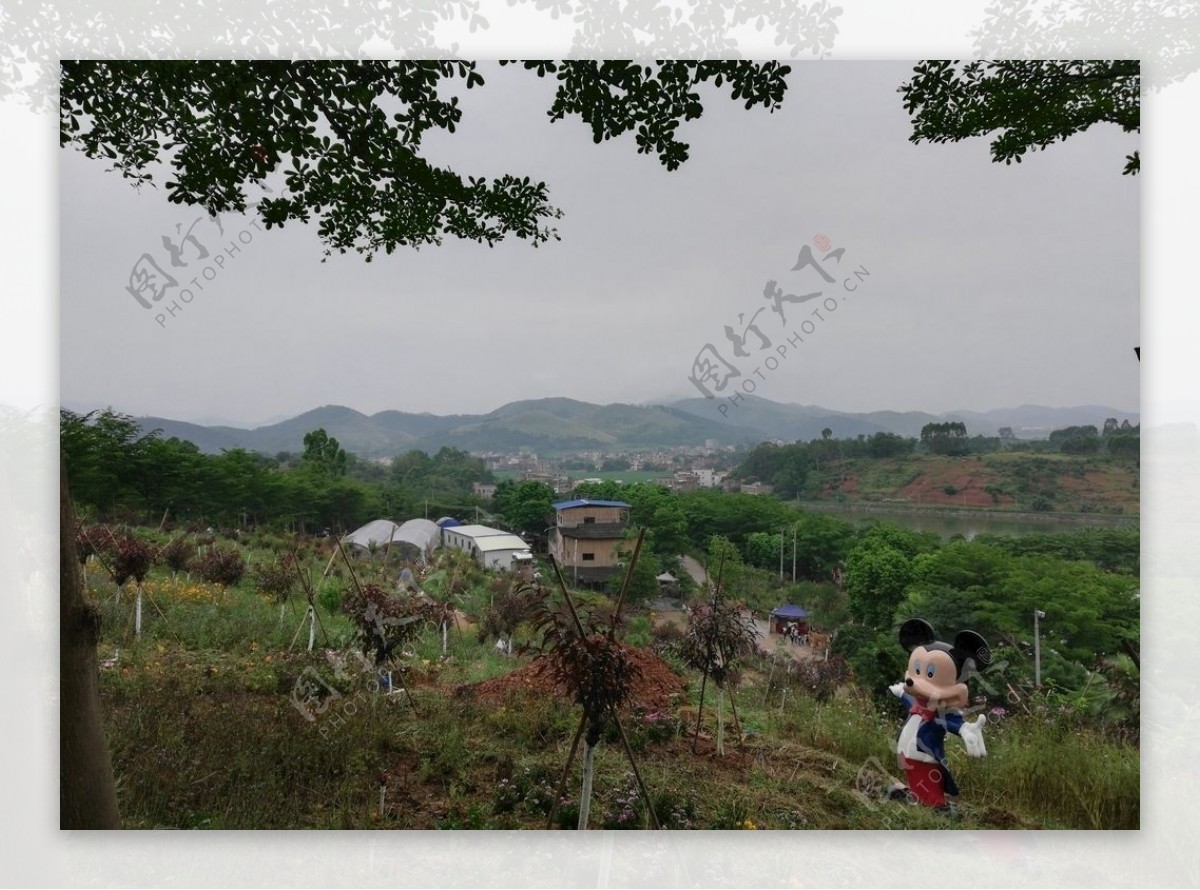 乡村风景