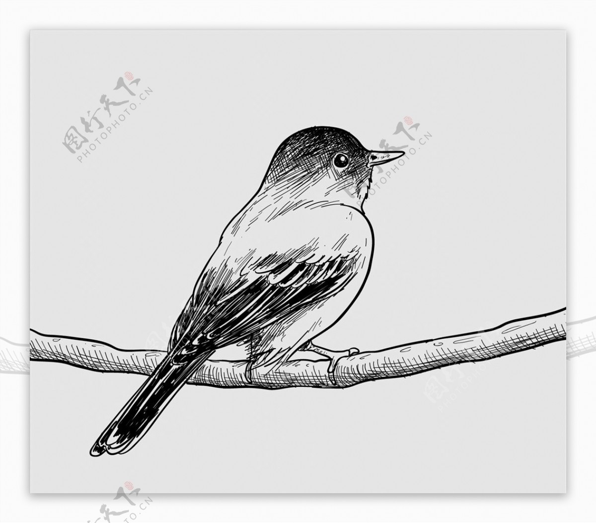 手工绘制鸟和花卡图片