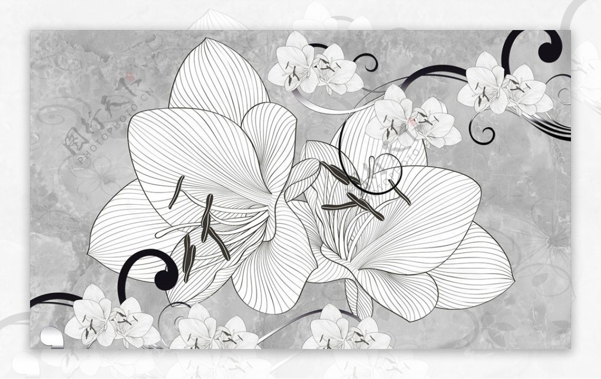 手绘花朵插画背景墙图片