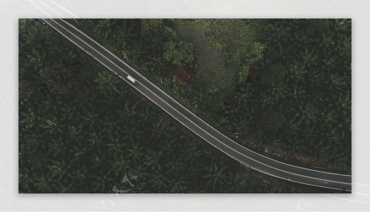 公路道路高速森林背景素材图片