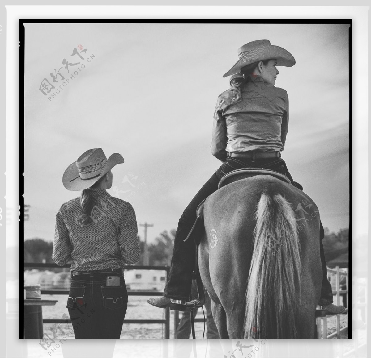 马匹骑马运动复古黑白素材图片
