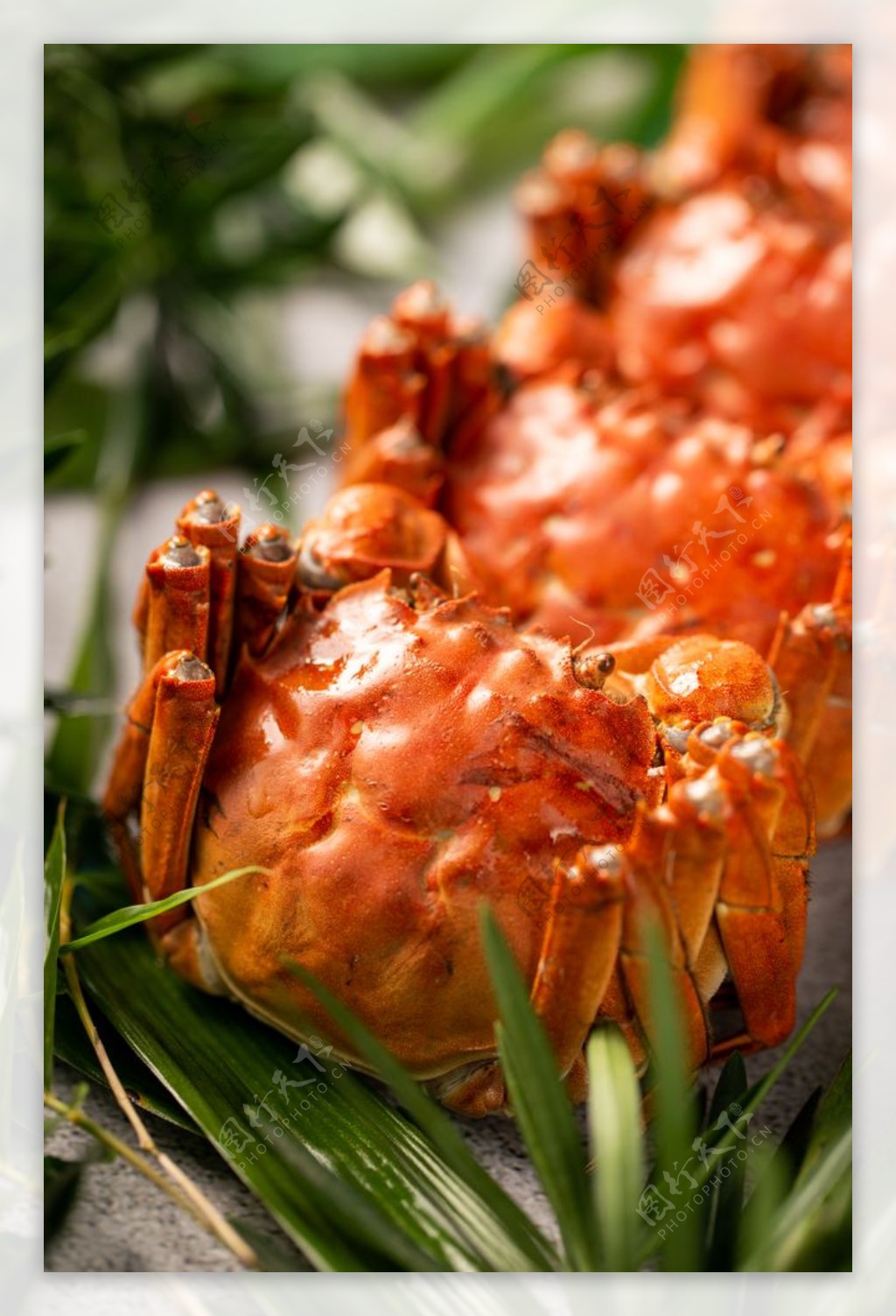 螃蟹食材美食宣传背景素材图片