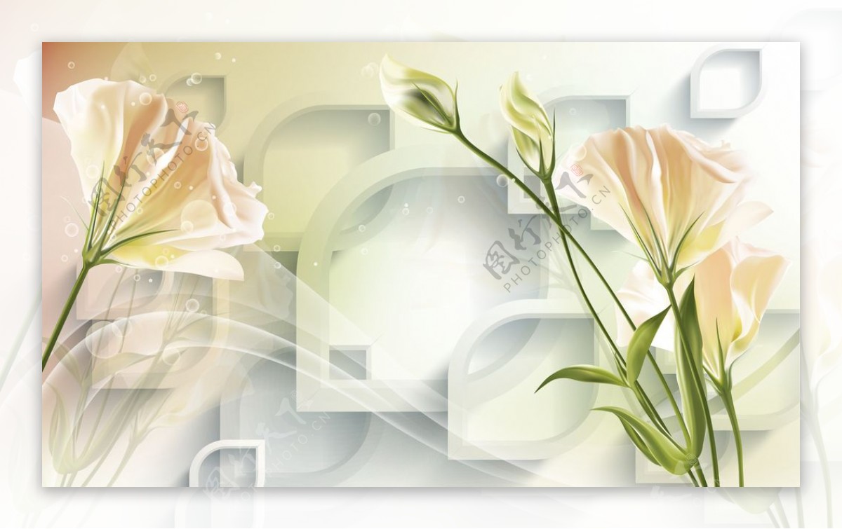 3D梦幻花卉马蹄莲背景墙图片
