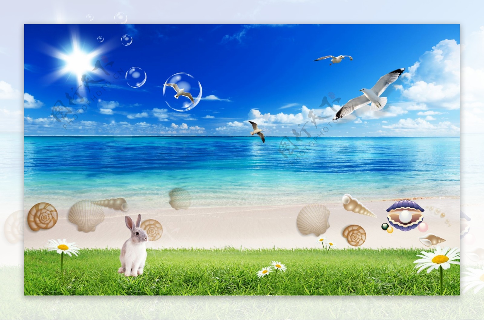 海边海滩贝壳风景背景墙图片