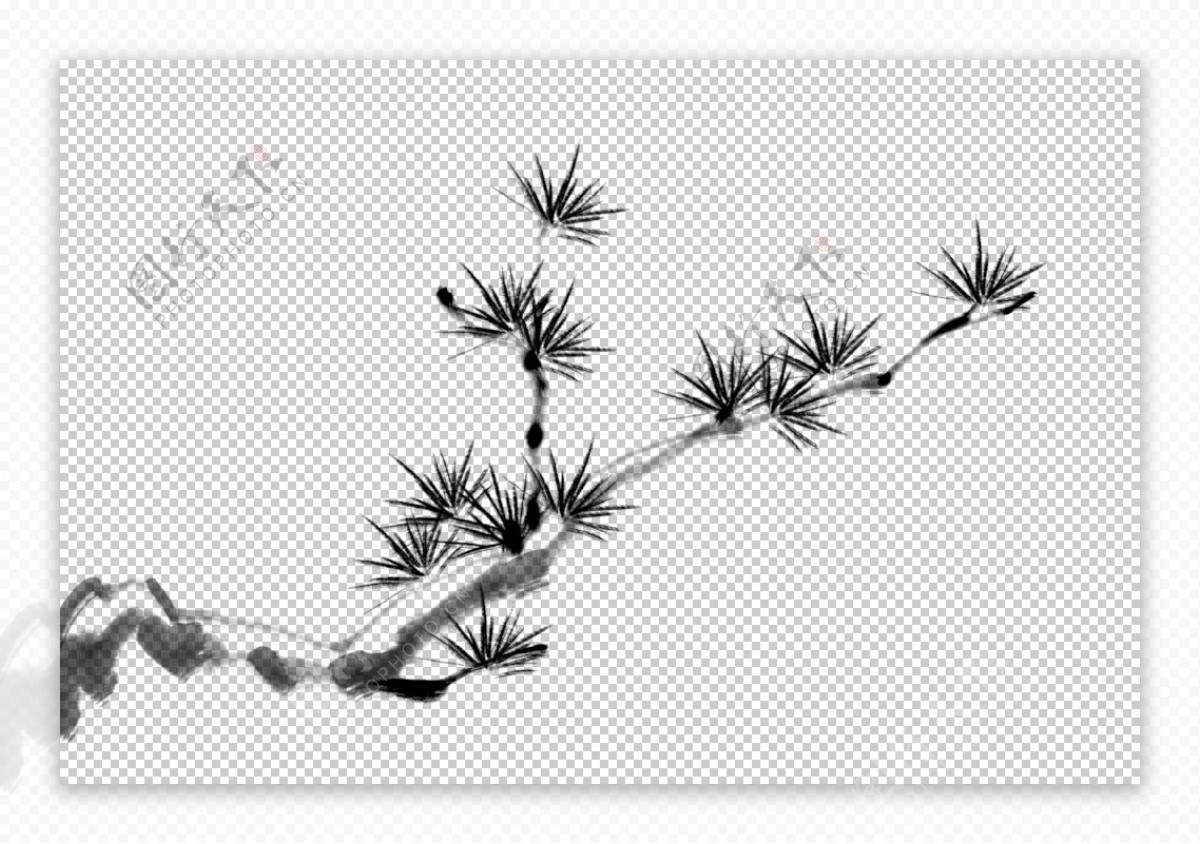 水墨松树图片