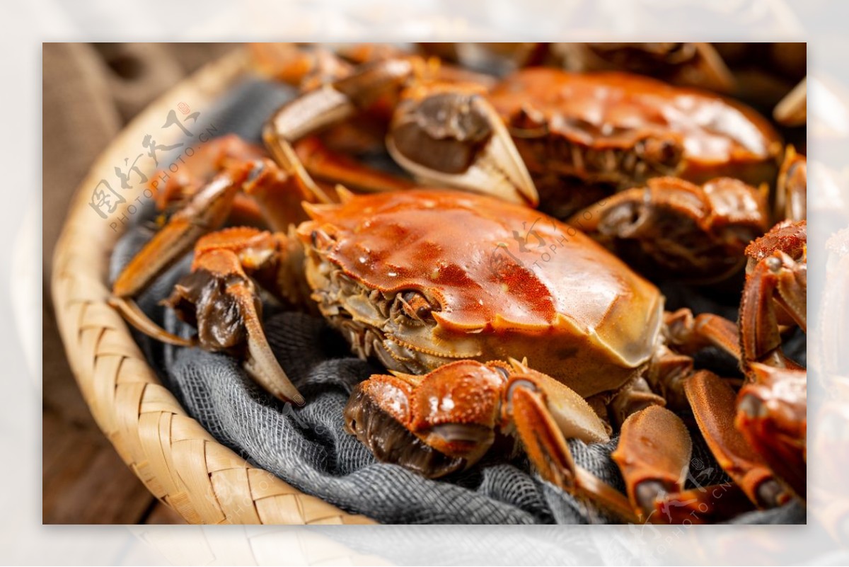 大闸蟹美食食材背景海报素材图片